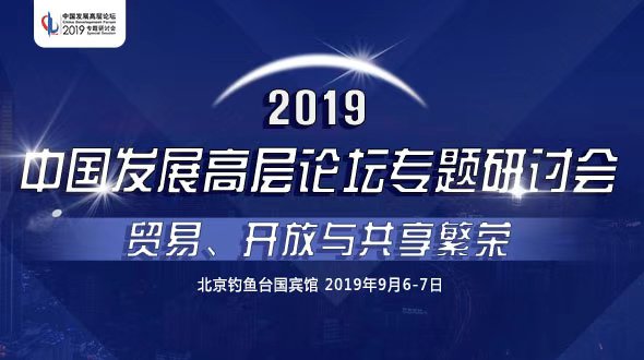 2019中国发展高层论坛专题研讨会